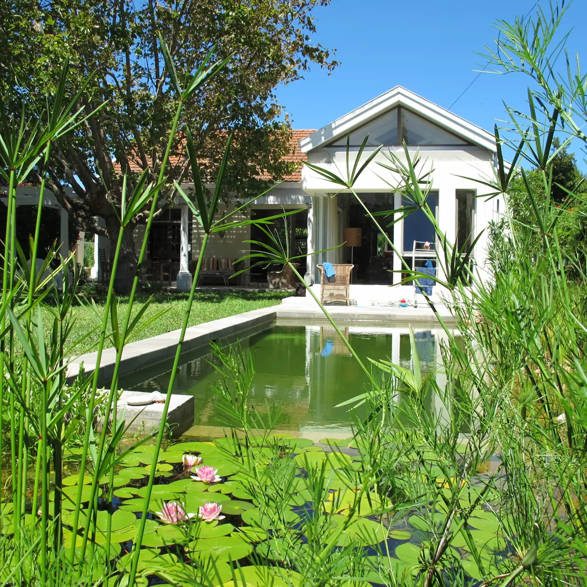 Higgins EcoPool